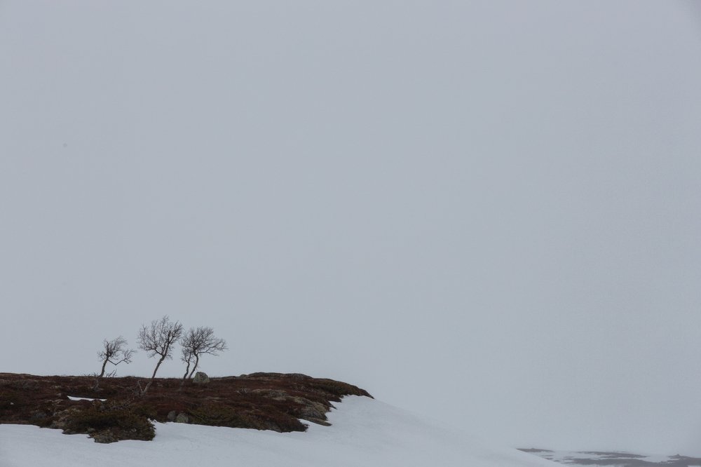 Photograph by Valentinas Pecininas