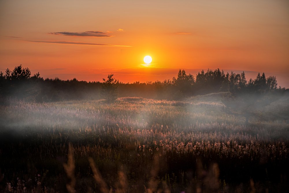 Photograph by Анастасия Третьякова