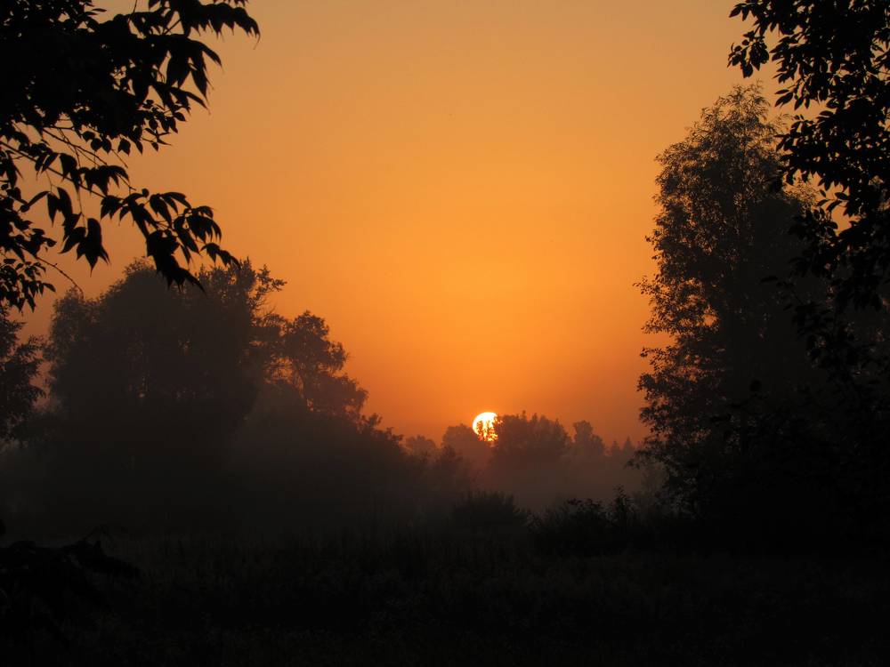 Photograph by Анна Кремешкова