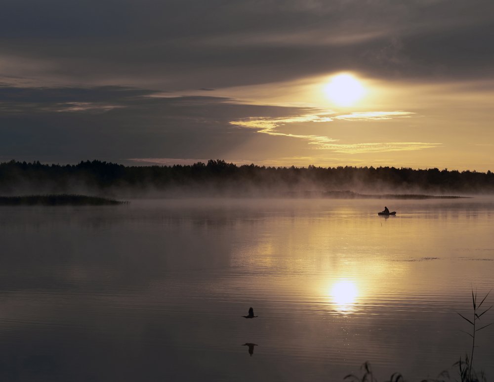 Photograph by Лариса Абрамова