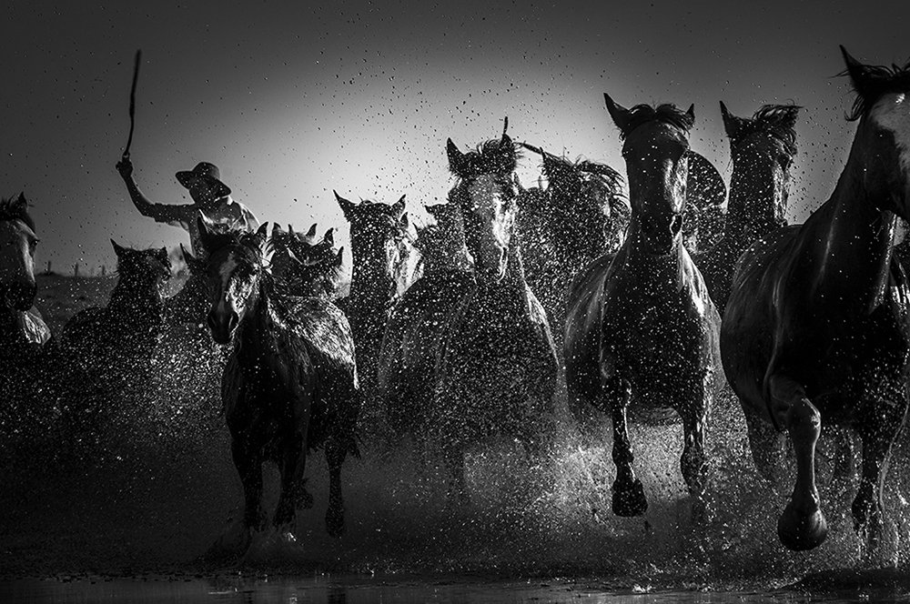 Photograph by Eurico Salis