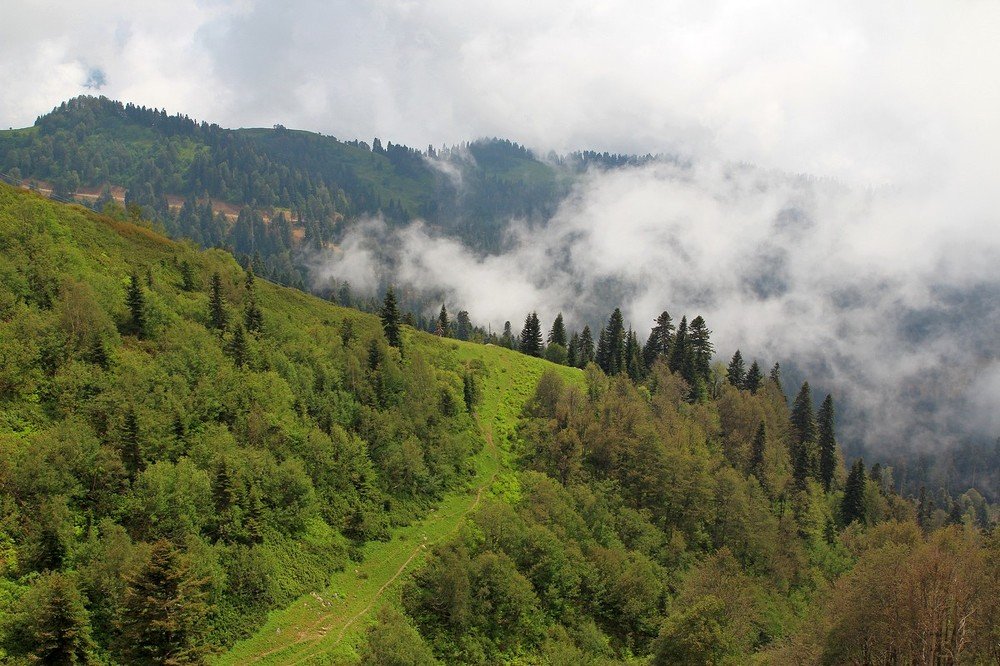 Photograph by Переслегин Александр