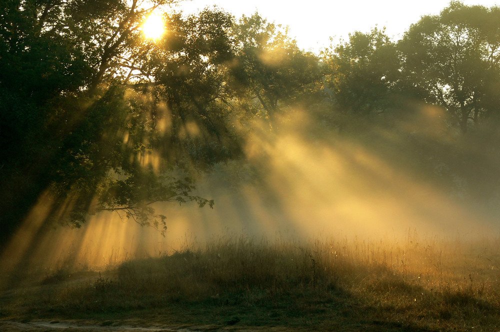 Photograph by Ольга Силакова