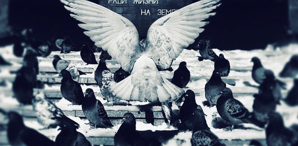 For the sake of life on Earth