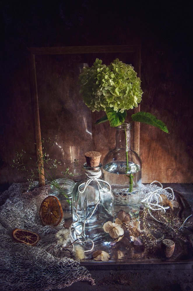 Photograph by 