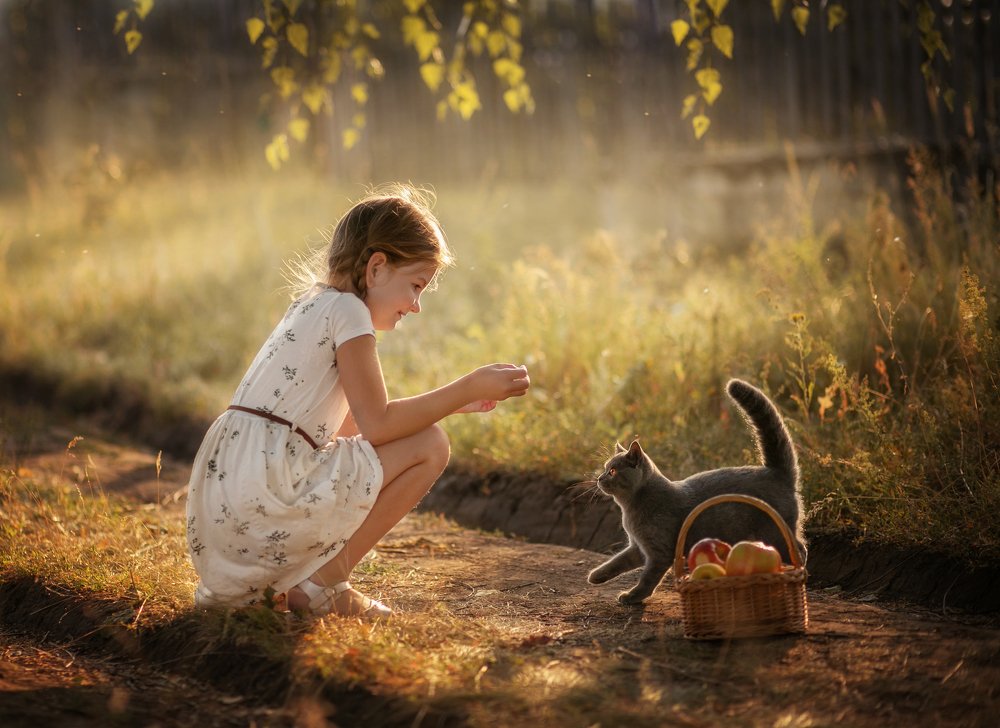 Photograph by Елена Алешечкина