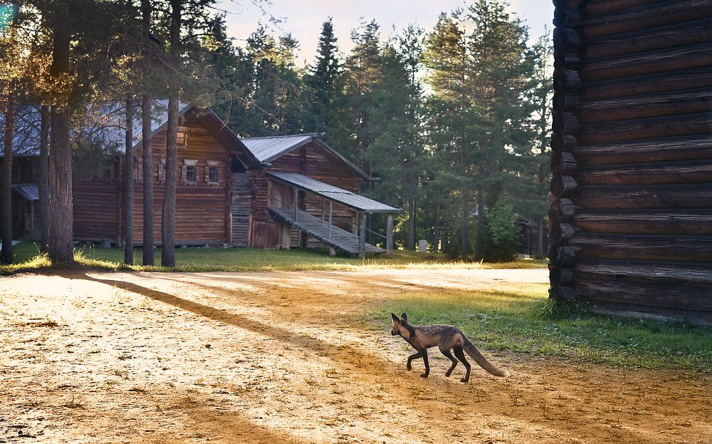 Фотография автора Анна Ершова