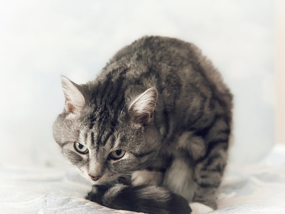 Photograph by Дмитрий Исаев