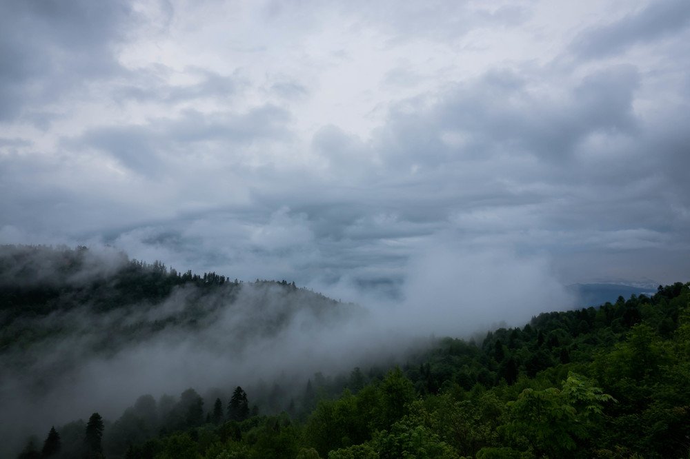 Photograph by Константин Шишкалов