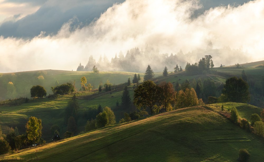 Photograph by Ольга Максимова