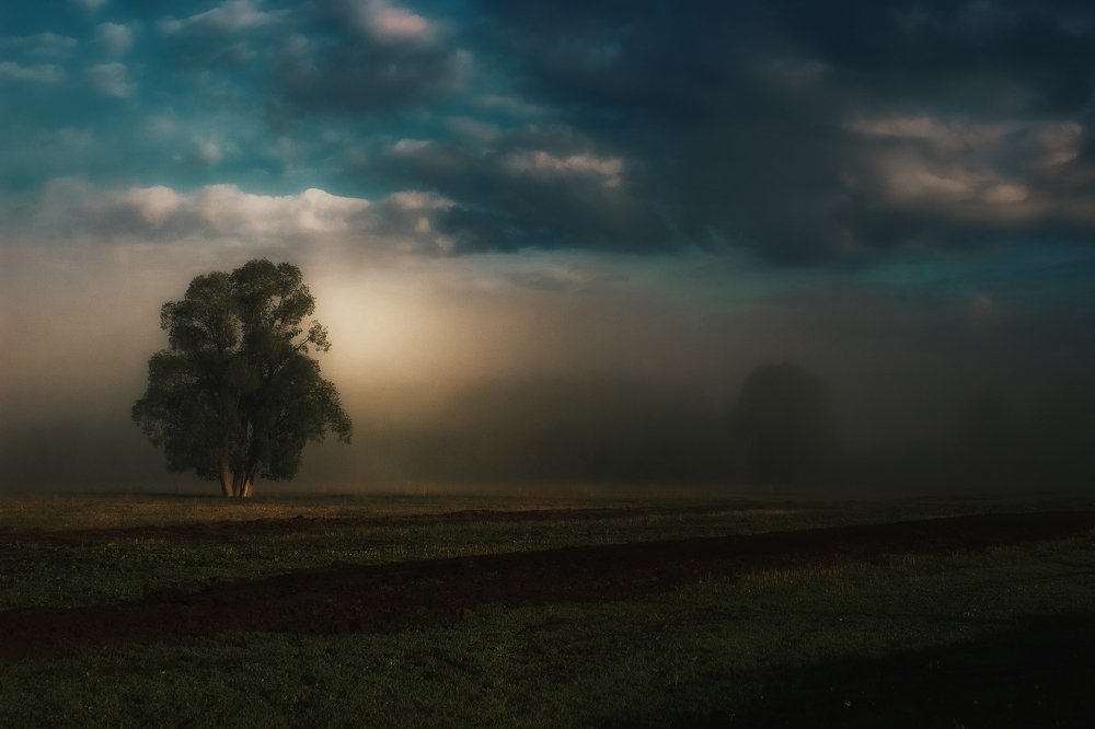 Photograph by Дарья Волкова