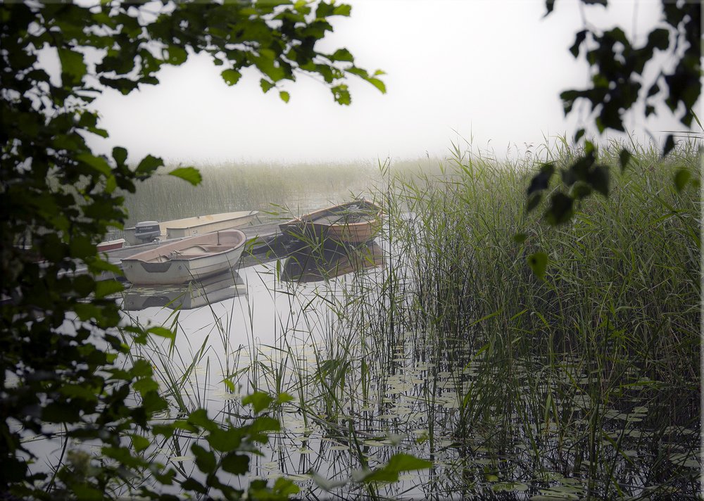 Photograph by Liudmila Drake