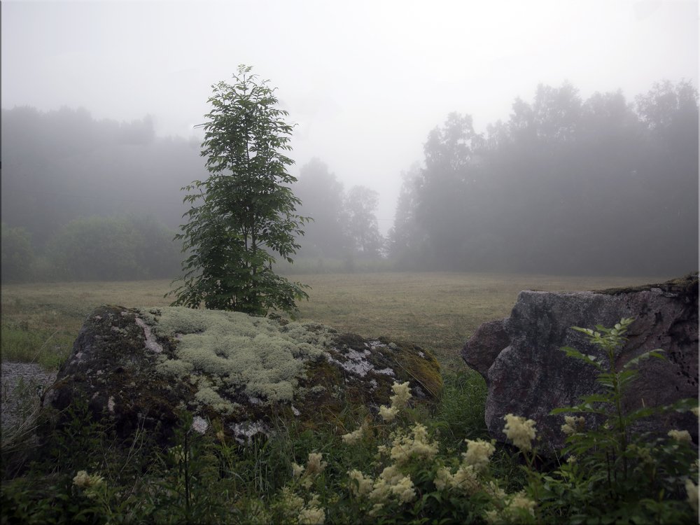 Photograph by Liudmila Drake