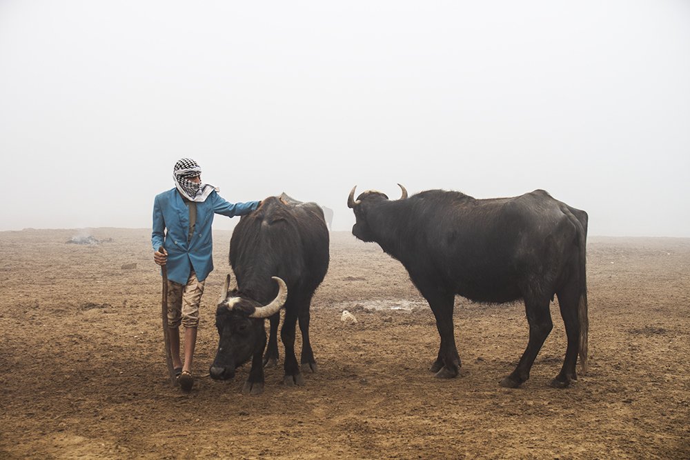 Photograph by Mahziyar Mehdipor