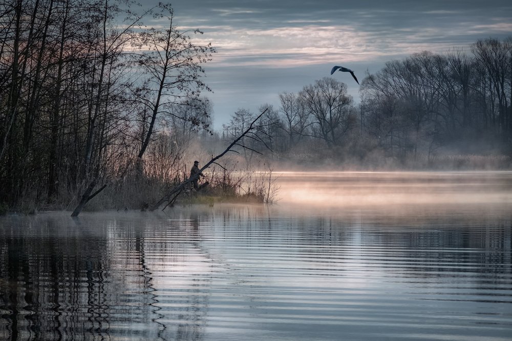 Фотография автора Андрей Чиж