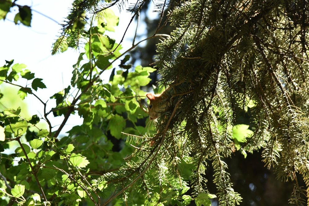 Photograph by Сергей Вантурин