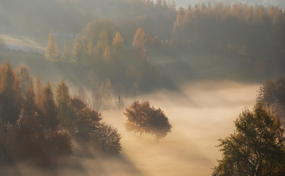 Фотография автора Дима Карабинов