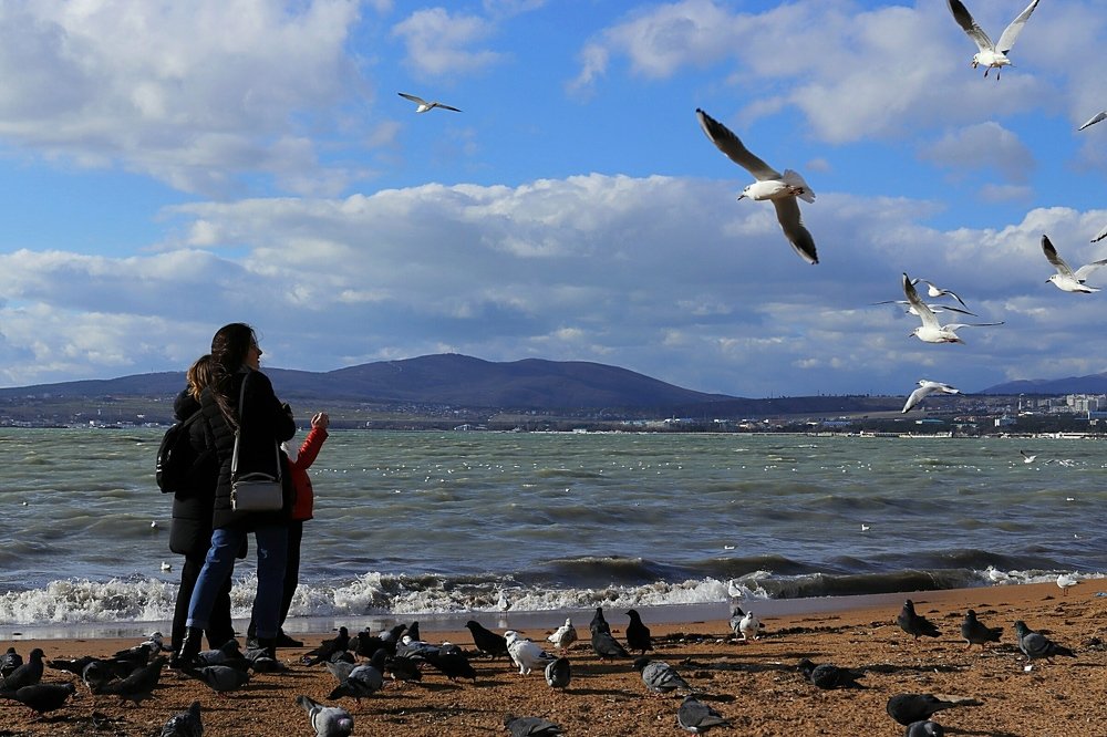 Photograph by Олег Башкуров