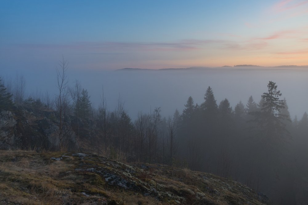 Photograph by Сергей Тишковский