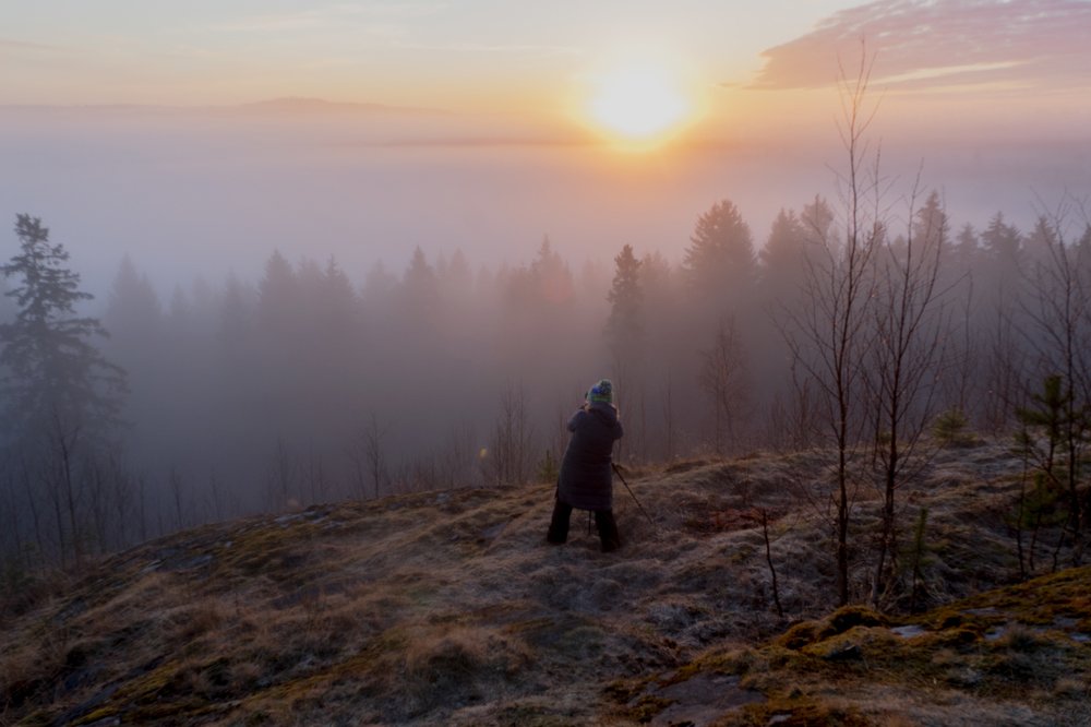 Photograph by Сергей Тишковский