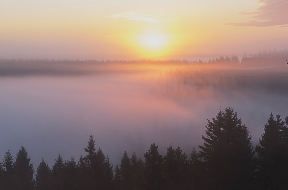 Photograph by Сергей Тишковский