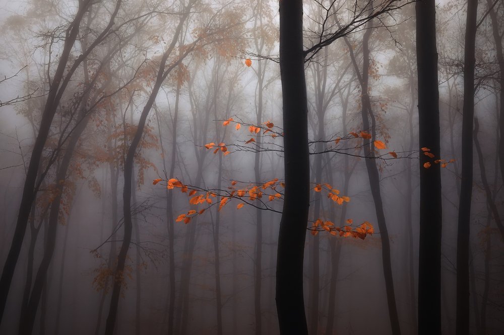 Photograph by Костадин Маджаров