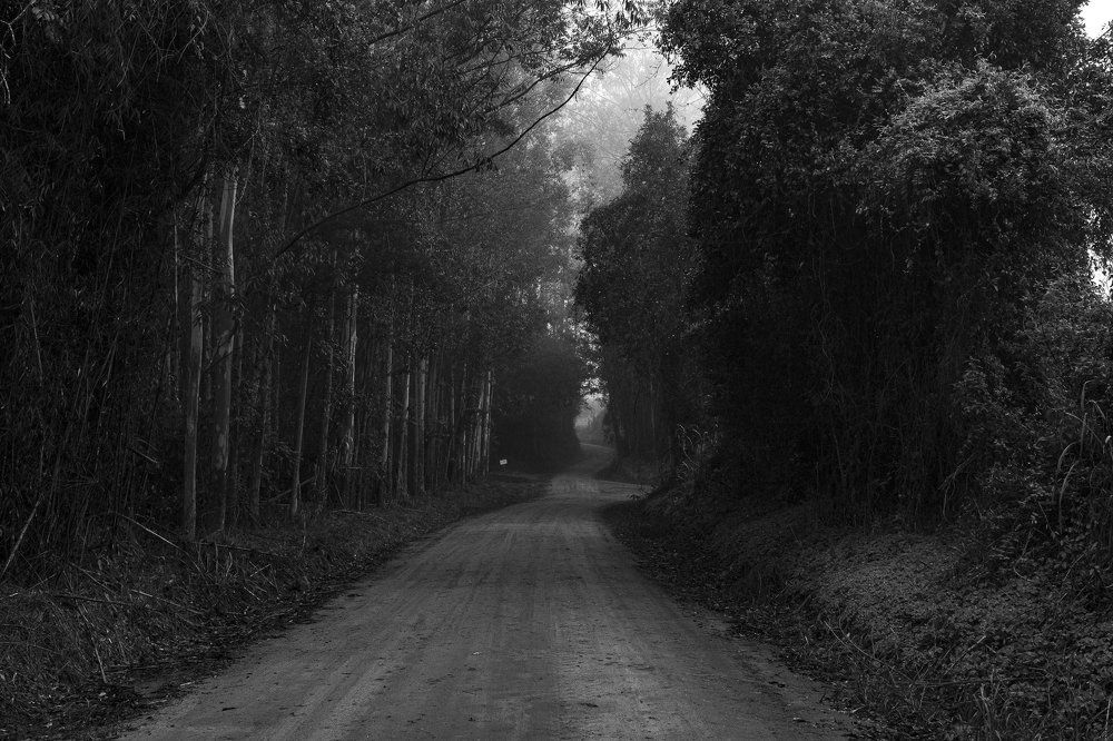 Photograph by Joice Kreiss