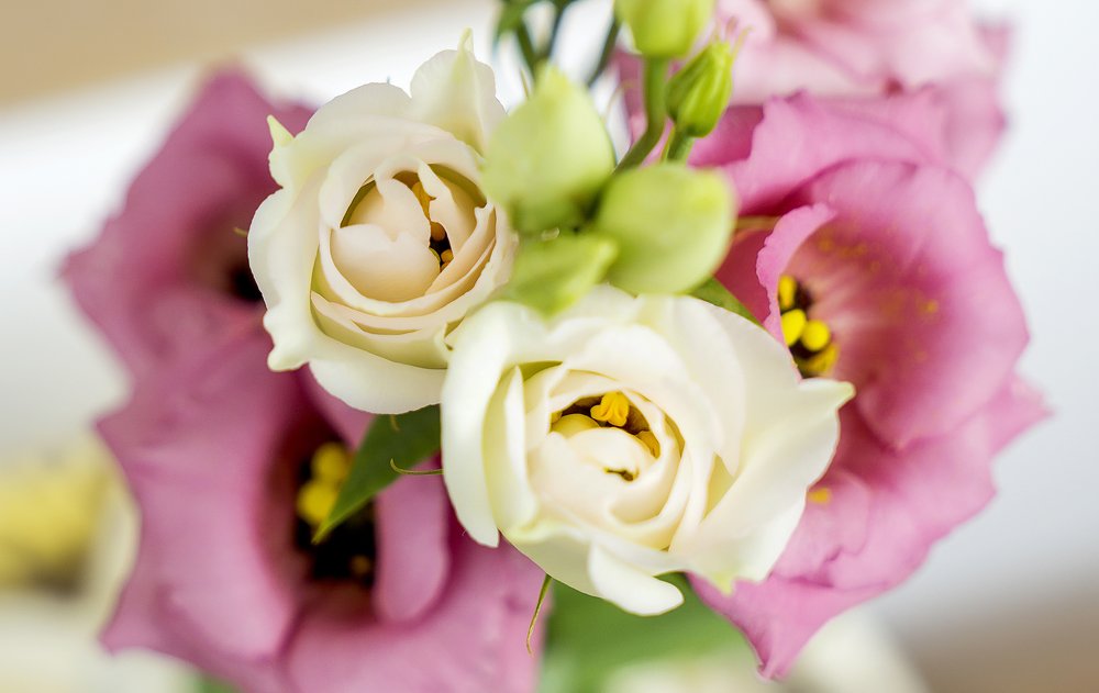 Photograph by Jelena Levsina