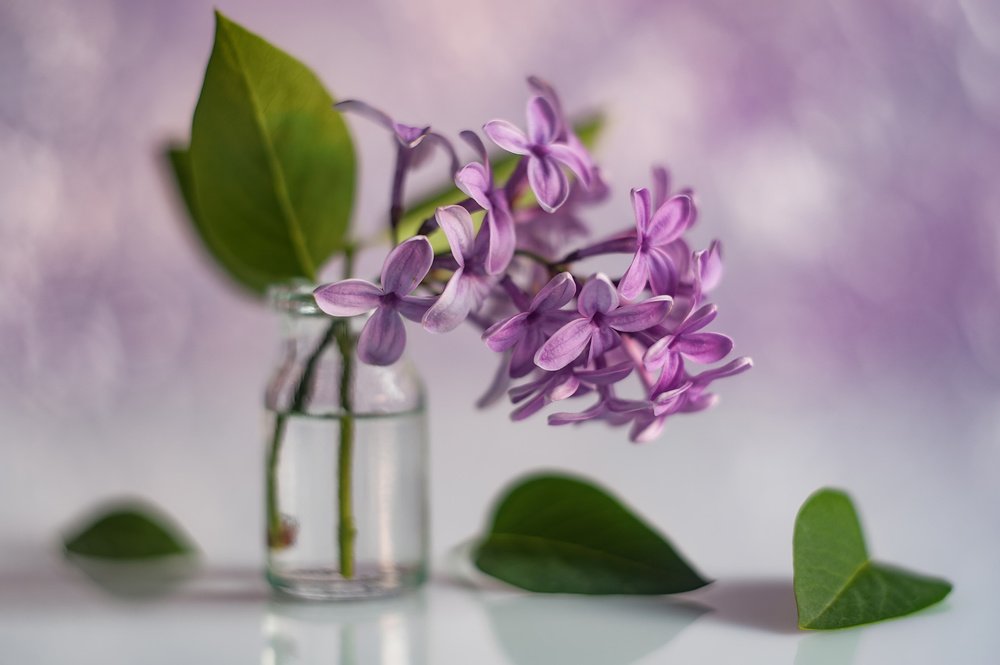 Photograph by Владимир Тузлай