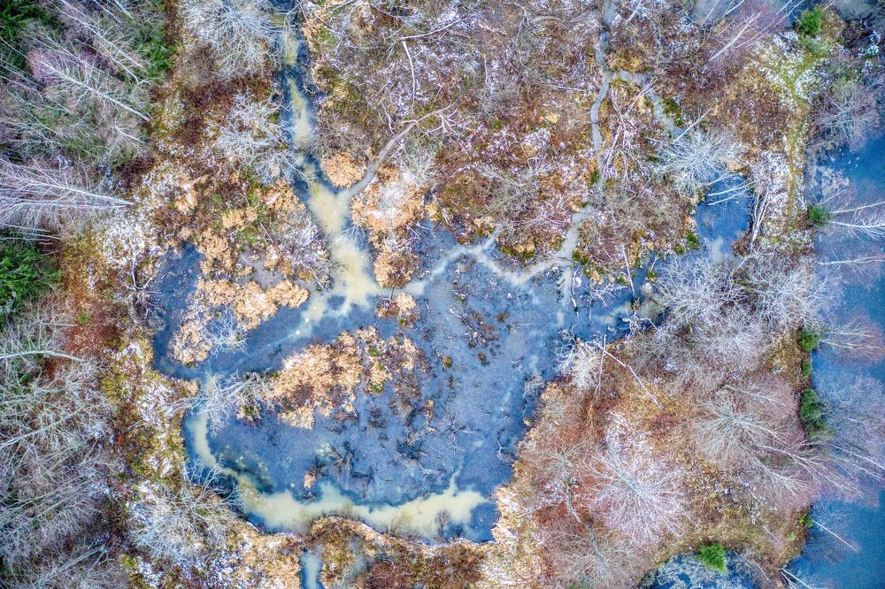 Место бобров