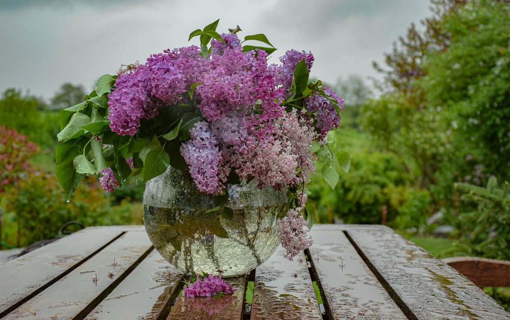 Photograph by LYUDMYLA POKRYSHEN