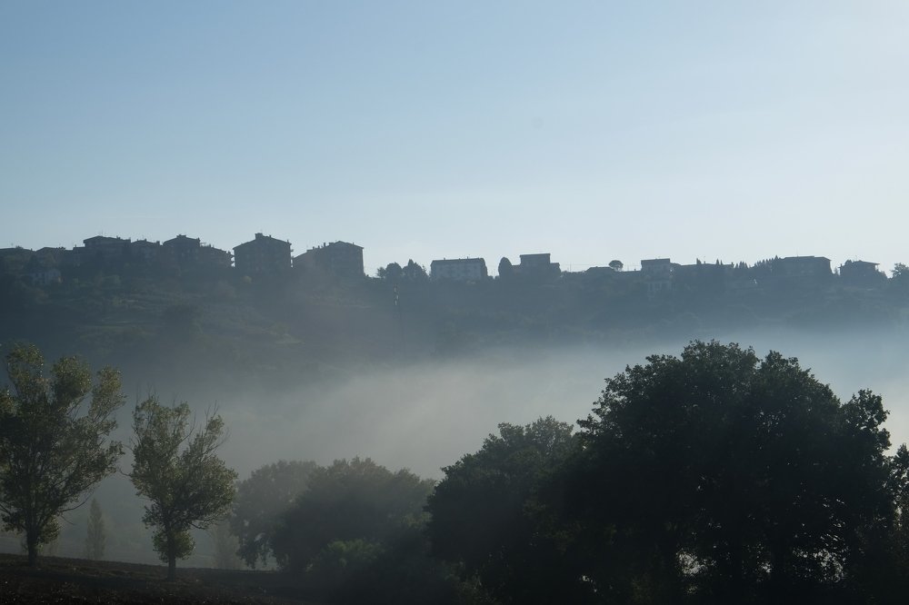 Photograph by Pantaleo Musarò