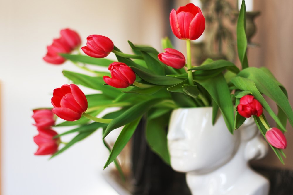 Photograph by Наталья Гайдар