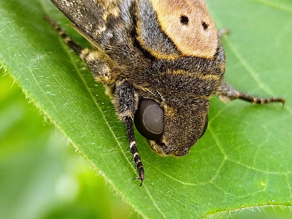 Photograph by sumit sitole