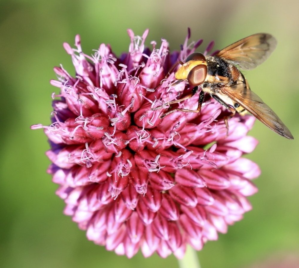 Photograph by Ольга Одаренко