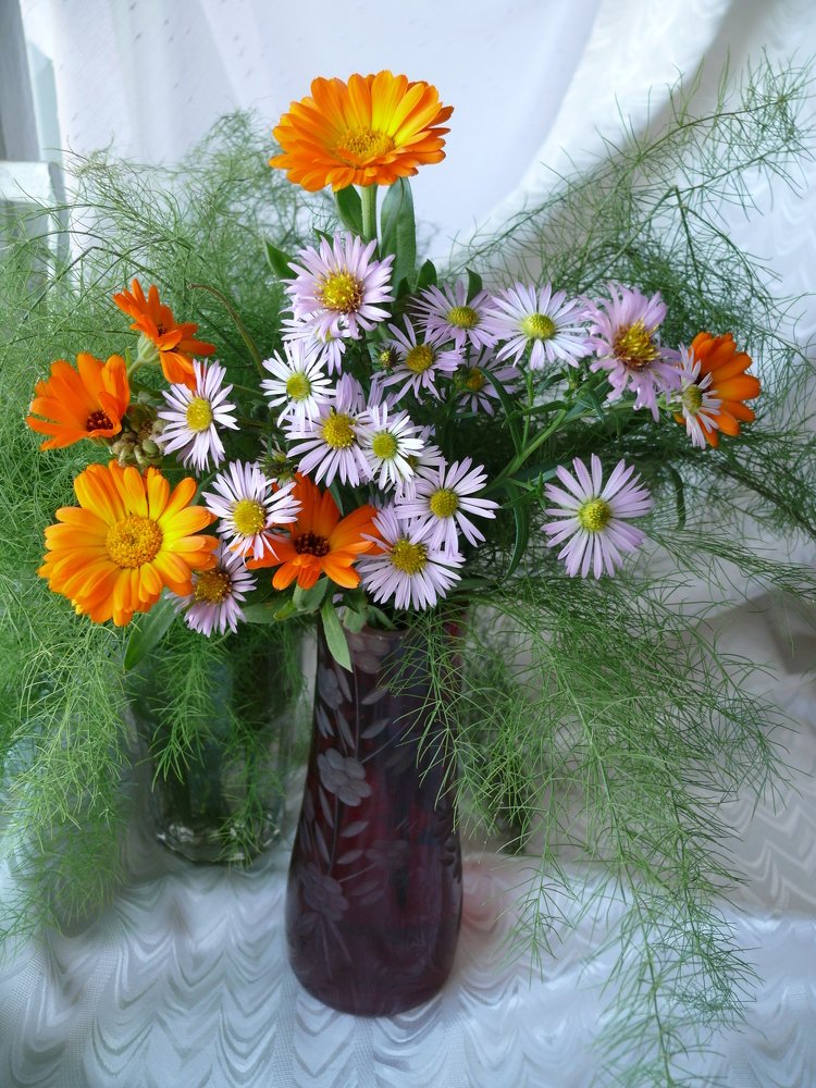 Фотография автора Клавдия Васильева