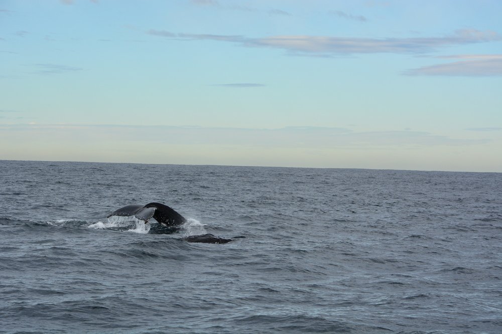 Photograph by Ksenija-Sena Kovacevic