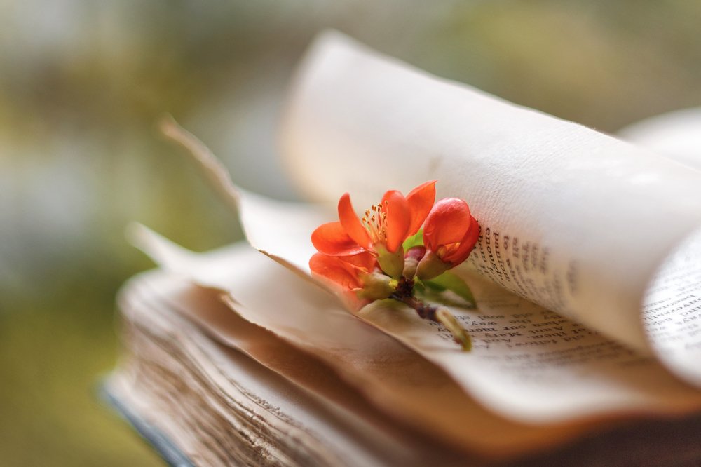 Photograph by Ирина Горюкина