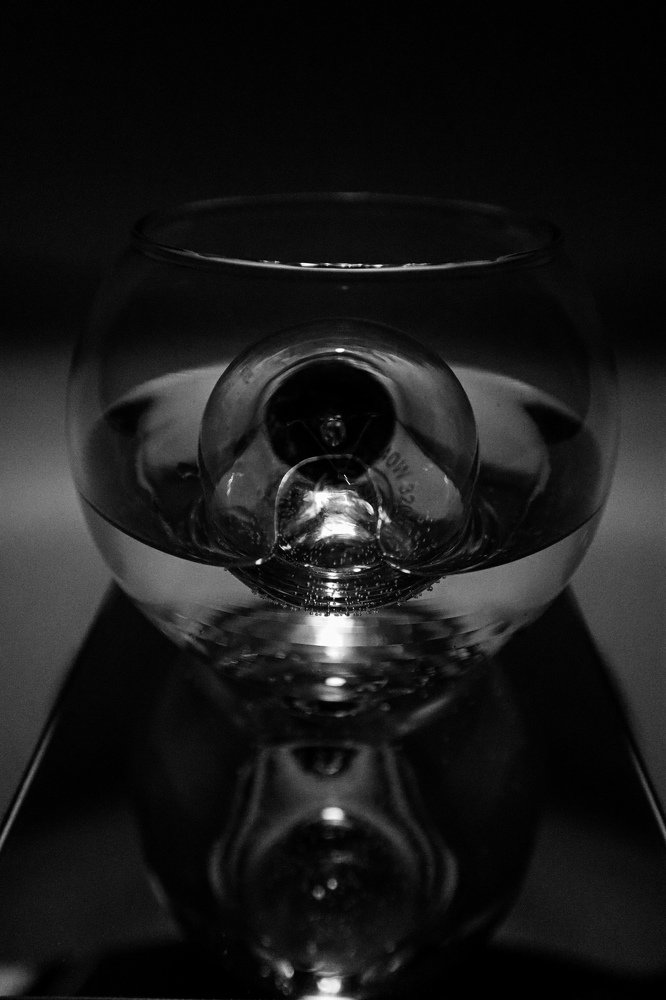 Photograph by Alisa Bryz-Gornia