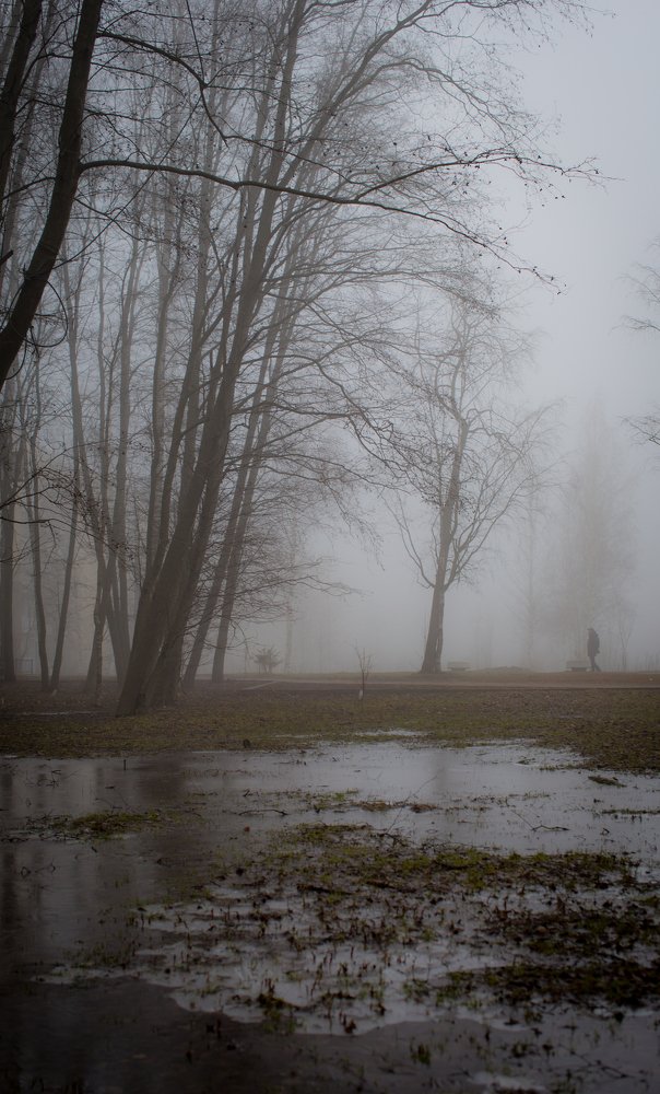 Photograph by Ольга Сафронова