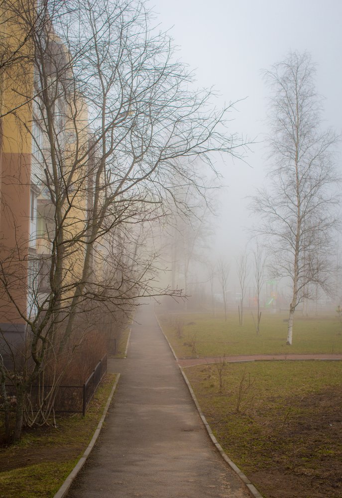 Photograph by Ольга Сафронова