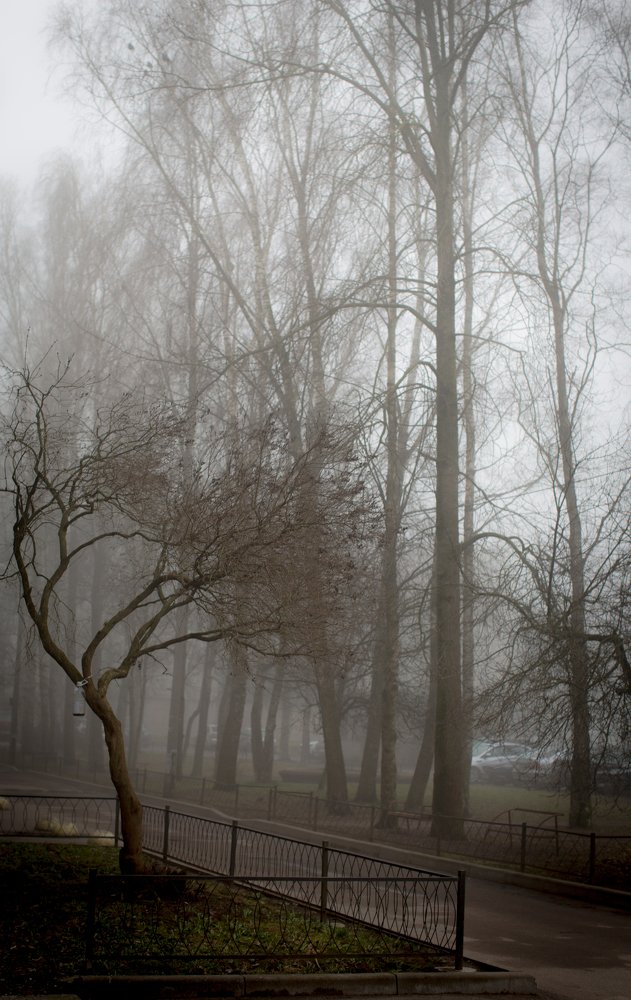 Photograph by Ольга Сафронова