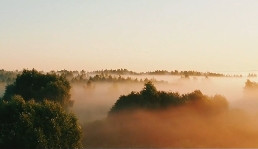 Photograph by Сергей Грицков