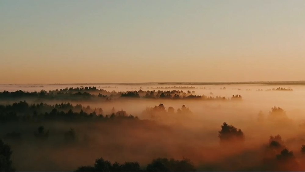 Photograph by Сергей Грицков