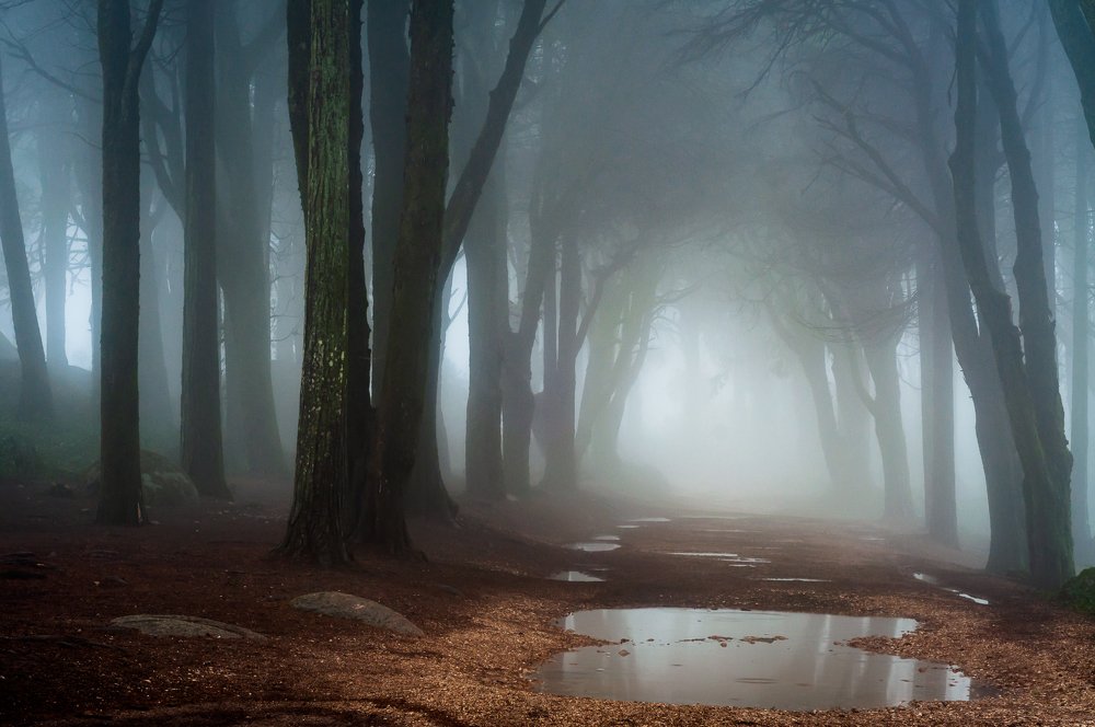 Photograph by Nuno Alexandre Candido