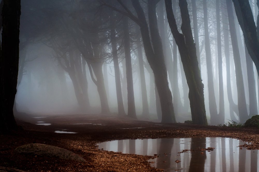 Photograph by Nuno Alexandre Candido