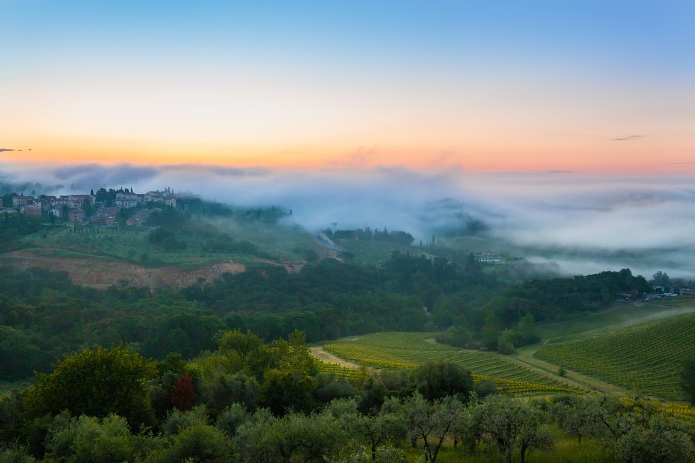 Photograph by TAISIA CHAIKA