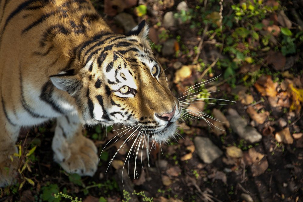 Photograph by TAISIA CHAIKA