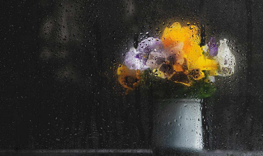 Дождливое утро