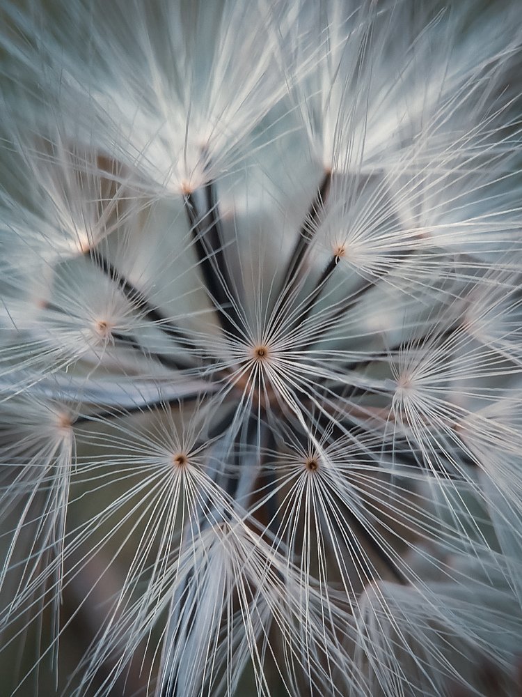 Photograph by Gallery arief